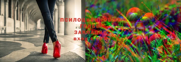 прущая мука Армянск