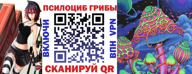 где можно купить   Сосногорск  Псилоцибиновые грибы мухоморы 